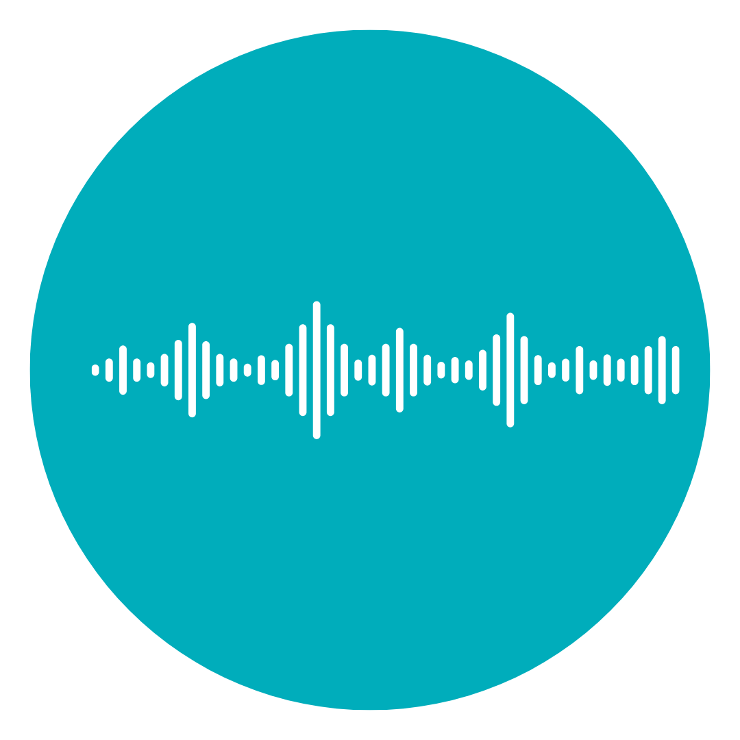 audio icon