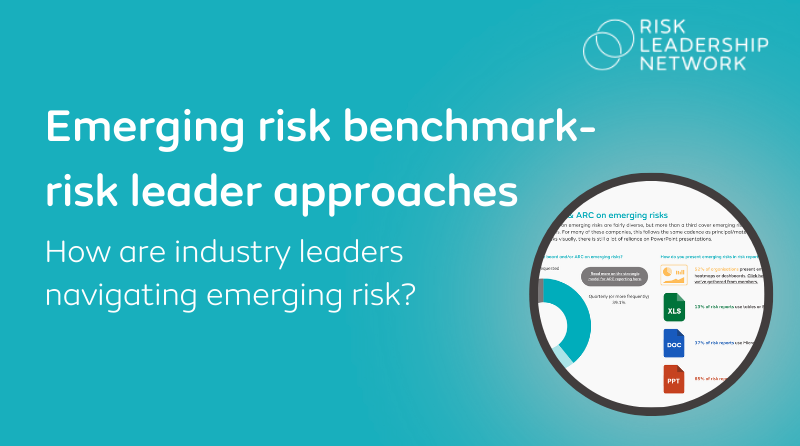 Emerging risk: risk leader approaches